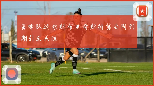 黄蜂队迈尔斯布里奇斯待售合同到期引发关注