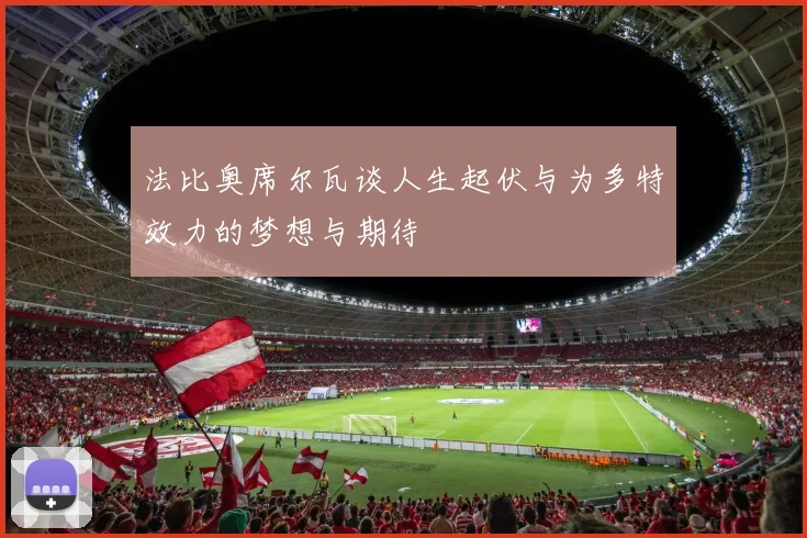 法比奥席尔瓦谈人生起伏与为多特效力的梦想与期待